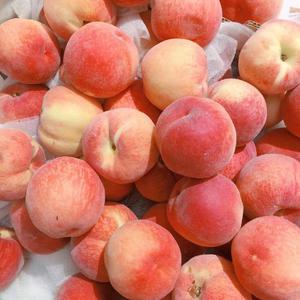 青少年小伙子日逼
