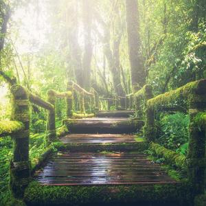 青少年小伙子日逼
